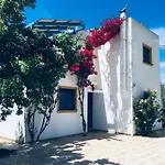 Electra Village House